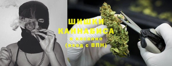 дурь Арсеньев