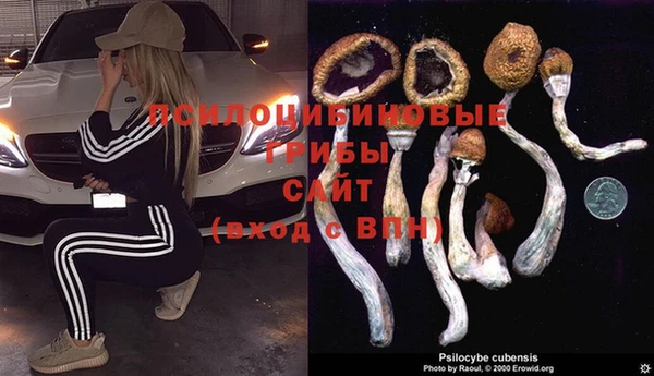 бутик Аркадак