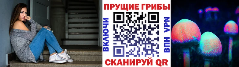 Псилоцибиновые грибы Magic Shrooms  где можно купить наркотик  мега ссылка  Могоча 